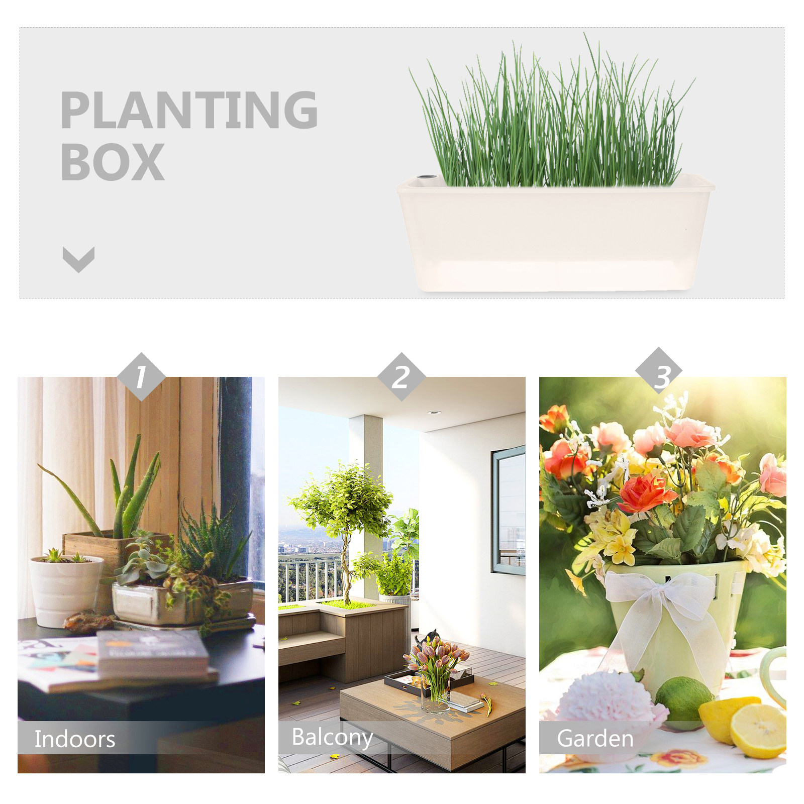 Rectangle Planter Box Long Pla - Self-Watering Planter ulasan dan harga