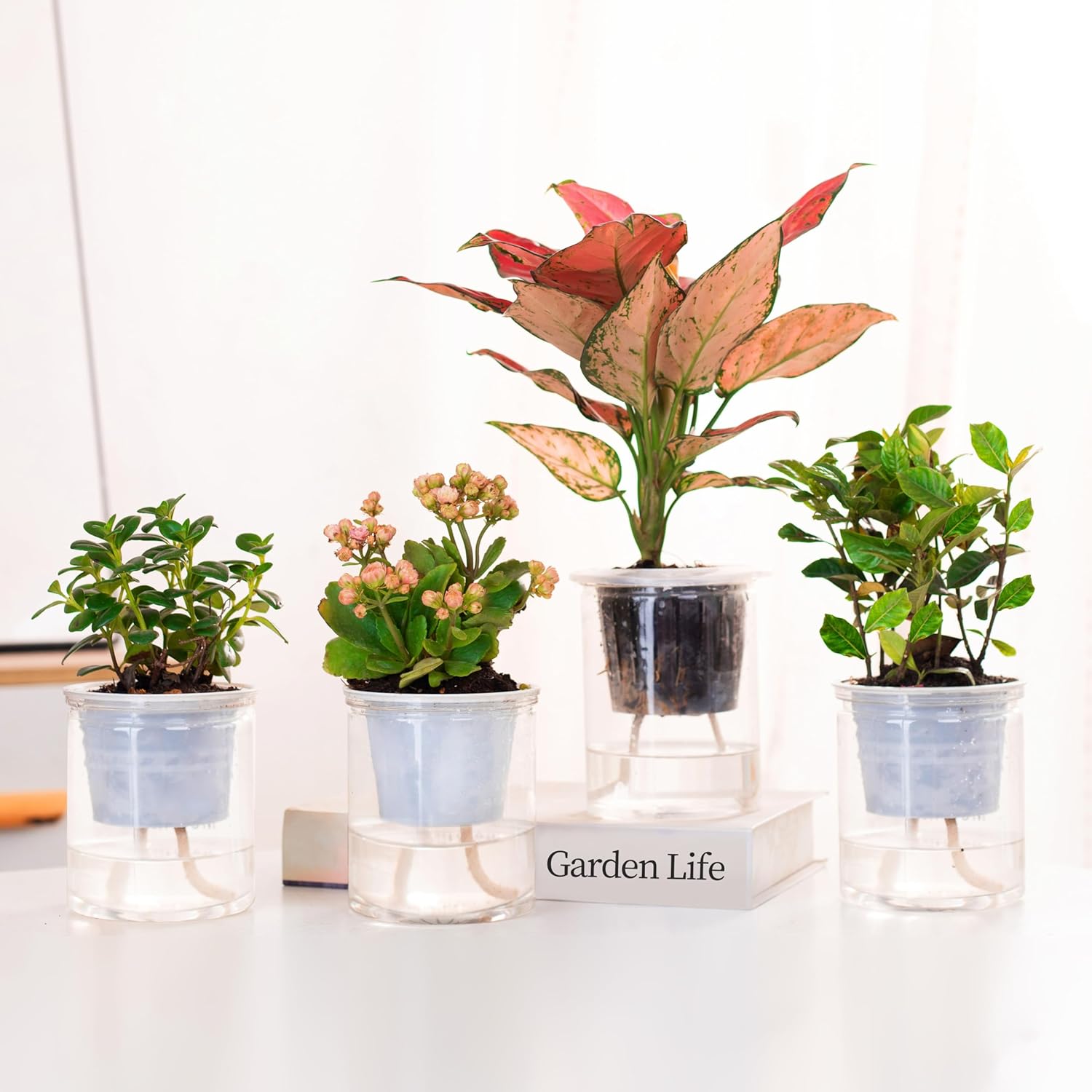5-20M Self-Watering Wick Cord  - Self-Watering Planter ulasan dan harga